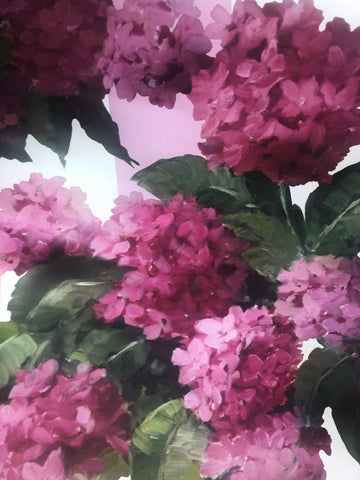Grey Gardens Pink Hydrangea Wallpaper