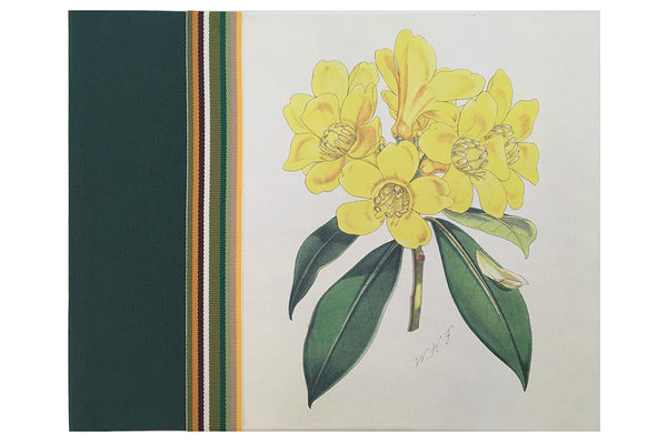Grey Gardens® Vintage Daffodil Photo Album - Grey Gardens
